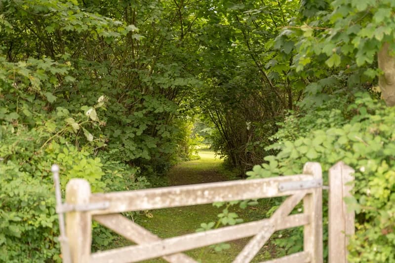 Skovport og sti ved Agerup Gods